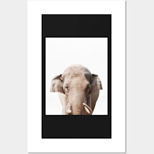 Elephant print, African Safari, Nursery decor, Animal, Kids room, Modern Wall Posters and Art